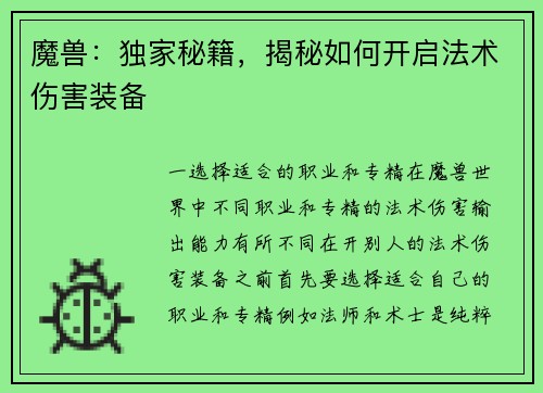 魔兽：独家秘籍，揭秘如何开启法术伤害装备